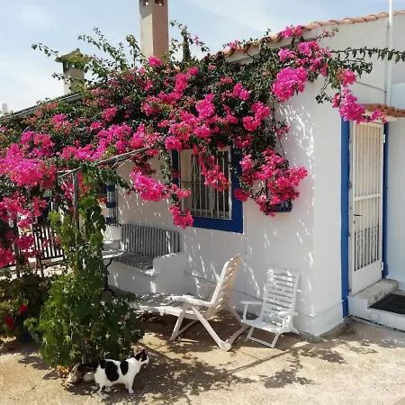La Joya *
