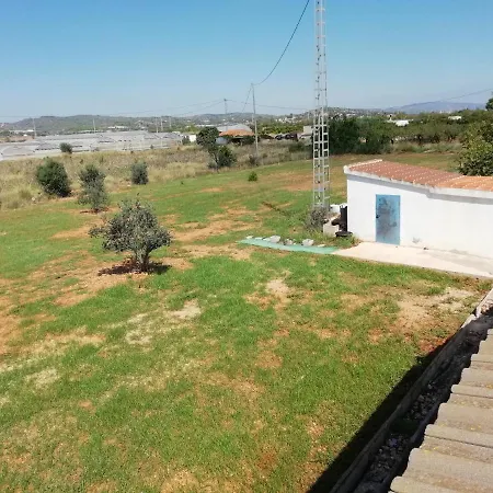 La Joya * Torreblanca